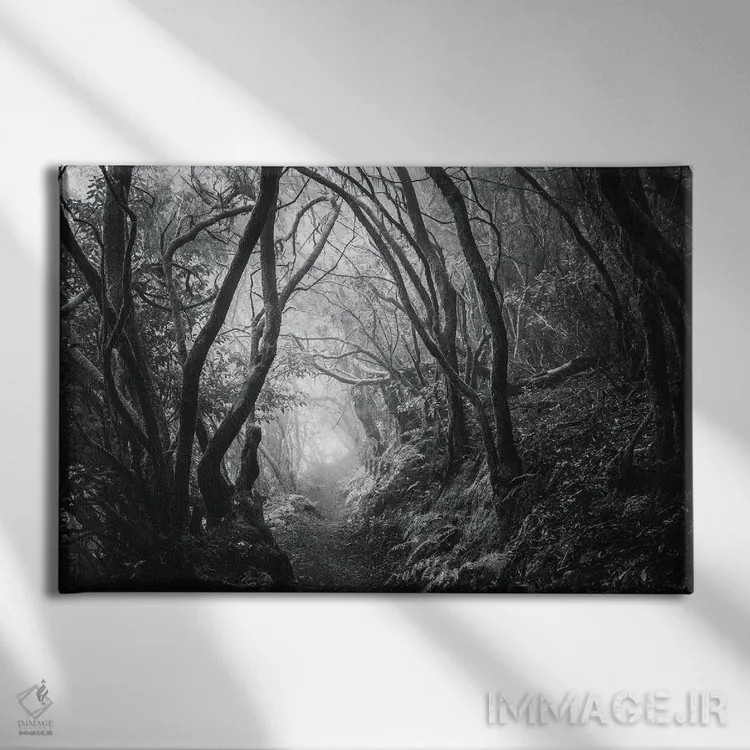 تابلو مسیر رؤیاها اثر آنابل شابر - نمای روبهرو روی دیوار