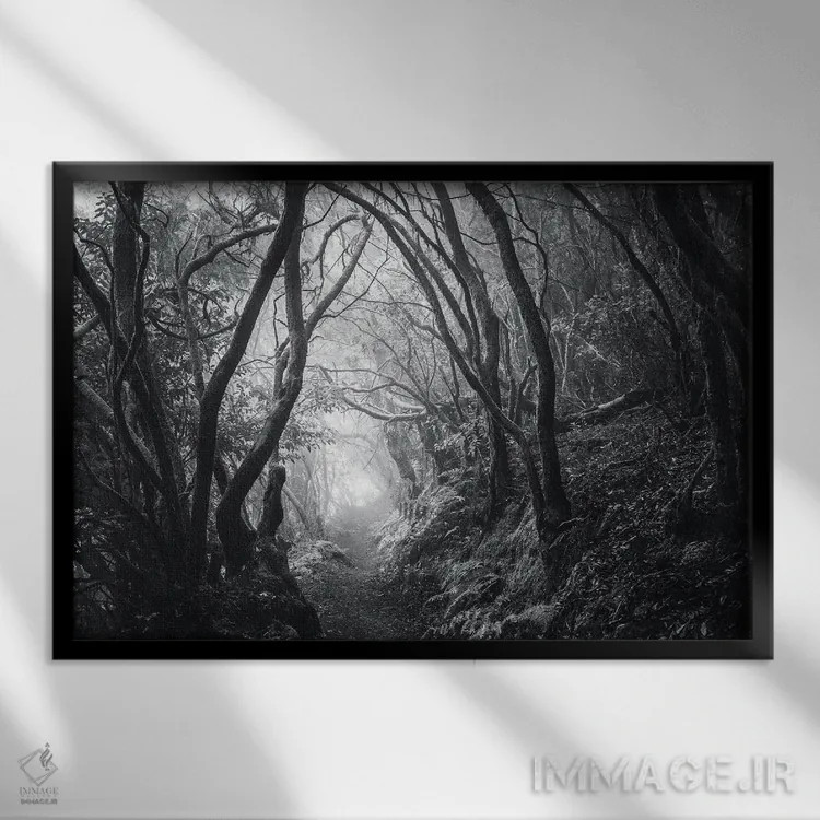 تابلو مسیر رؤیاها اثر آنابل شابر - نمای قابدار مشکی