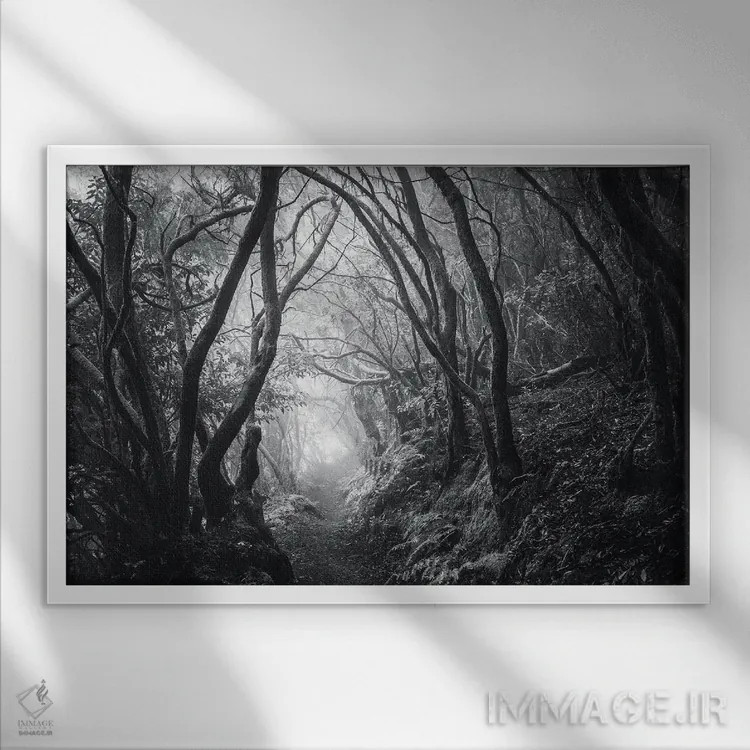 تابلو مسیر رؤیاها اثر آنابل شابر - نمای قابدار سفید