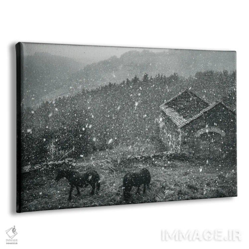 تابلو منظر روستایی اثر آنابل شابر - نمای پرسپکتیو محصول