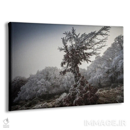 تابلو درخت یخزده فرشتهگون اثر آنابل شابر - نمای پرسپکتیو محصول