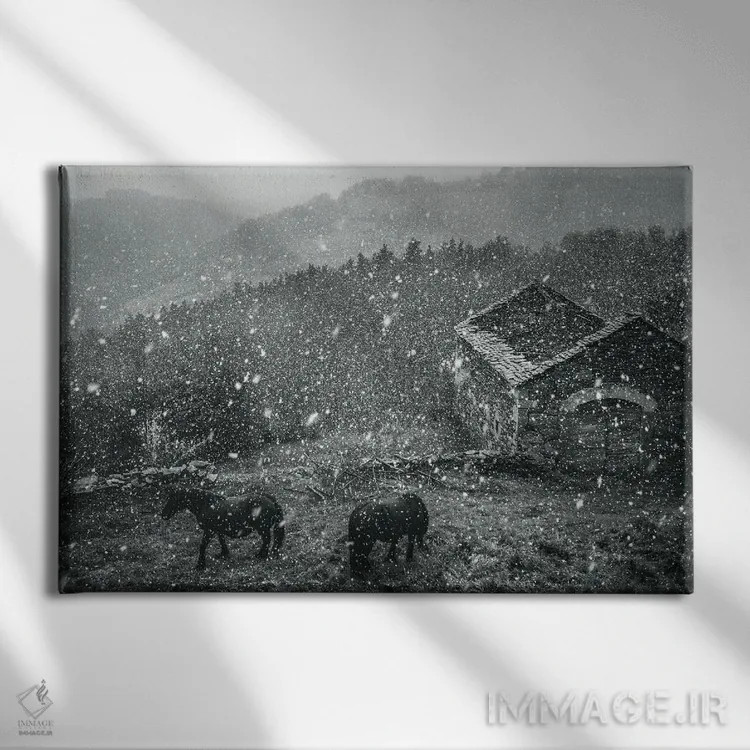 تابلو منظر روستایی اثر آنابل شابر - نمای روبهرو روی دیوار