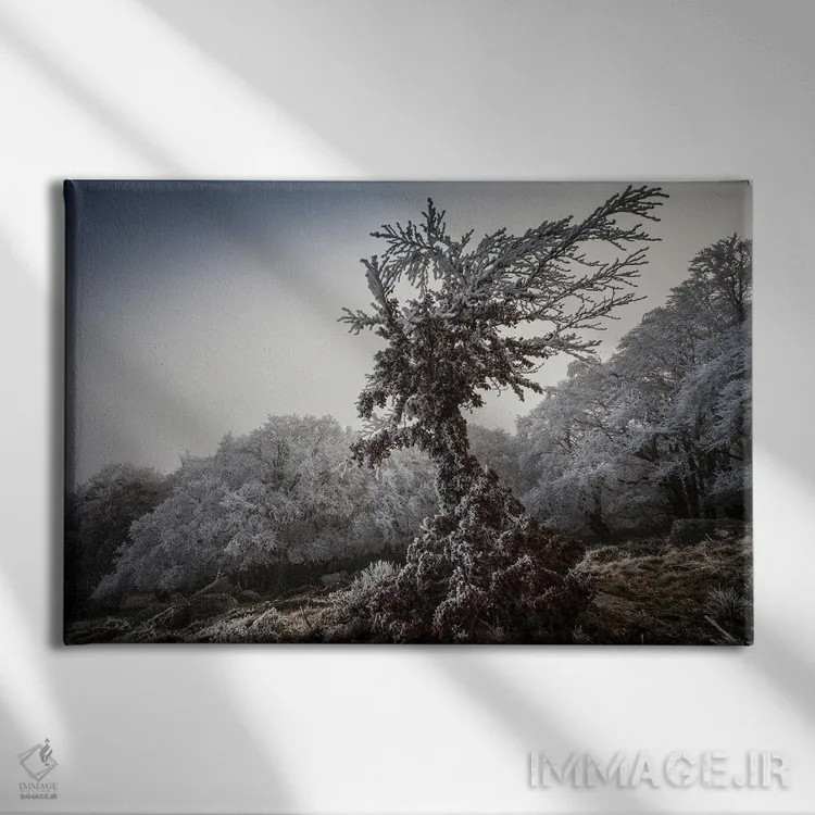 تابلو درخت یخزده فرشتهگون اثر آنابل شابر - نمای روبهرو روی دیوار