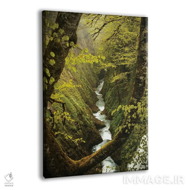 تابلو درهٔ پنهان اثر آنابل شابر - نمای پرسپکتیو محصول