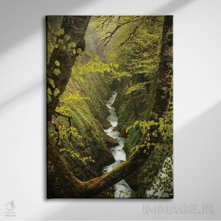 تابلو درهٔ پنهان اثر آنابل شابر - نمای روبهرو روی دیوار