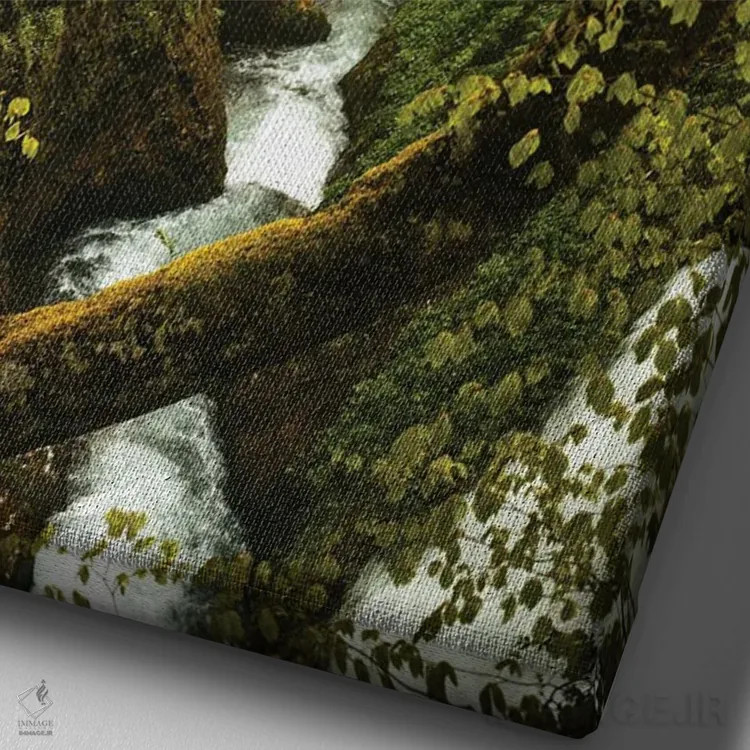 تابلو درهٔ پنهان اثر آنابل شابر - نمای نزدیک بافت بوم