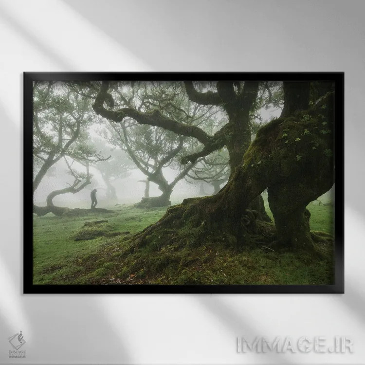 تابلو جنگل مهآلود فانال اثر آنابل شابر - نمای قابدار مشکی