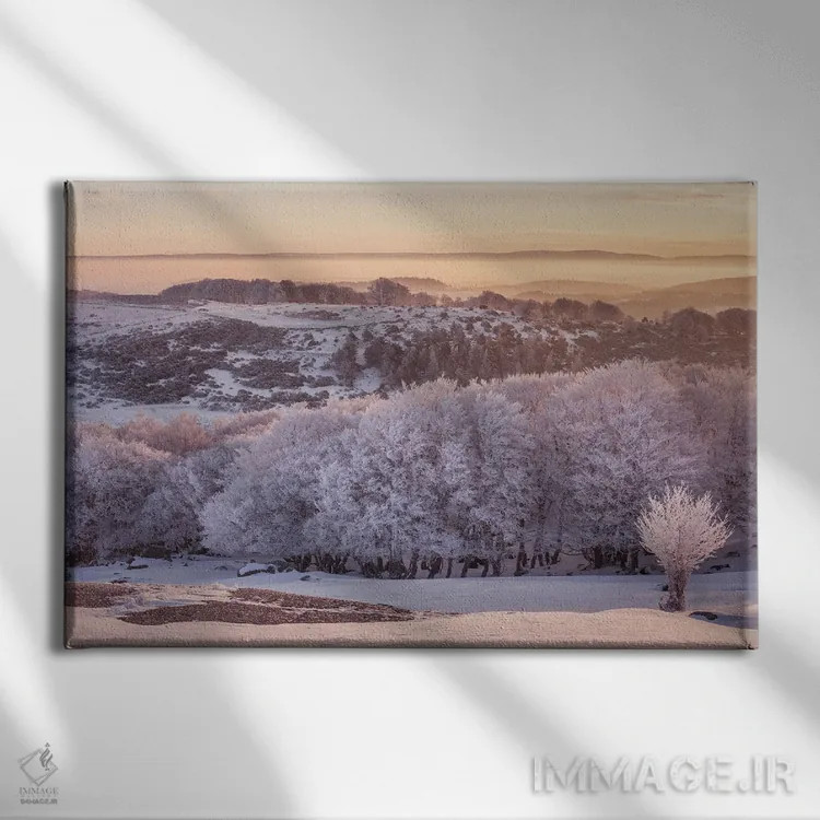تابلو منظر یخزده در نور صبحگاهی اثر آنابل شابر - نمای روبهرو روی دیوار