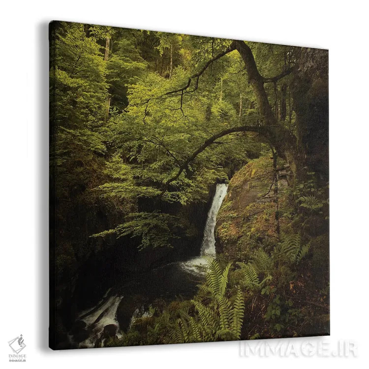 تابلو آبشار گمشده اثر آنابل شابر - نمای پرسپکتیو محصول