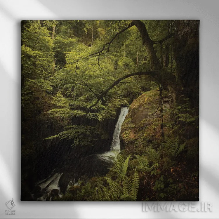 تابلو آبشار گمشده اثر آنابل شابر - نمای روبهرو روی دیوار