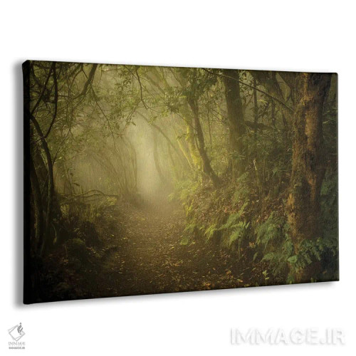 تابلو راهی به سرزمین عجایب اثر آنابل شابر - نمای پرسپکتیو محصول