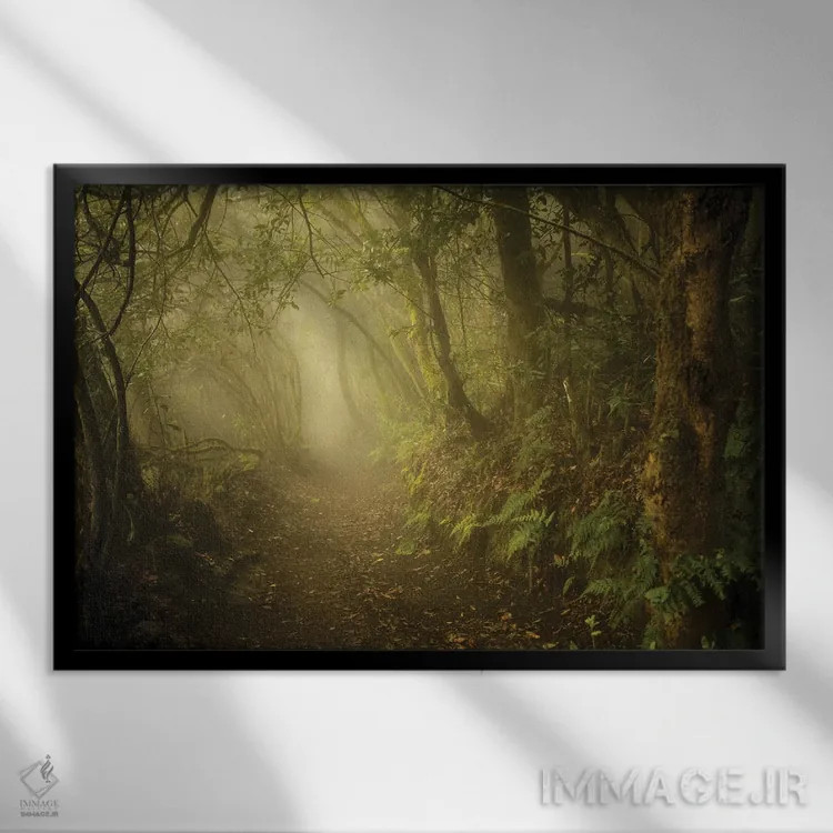 تابلو راهی به سرزمین عجایب اثر آنابل شابر - نمای قابدار مشکی