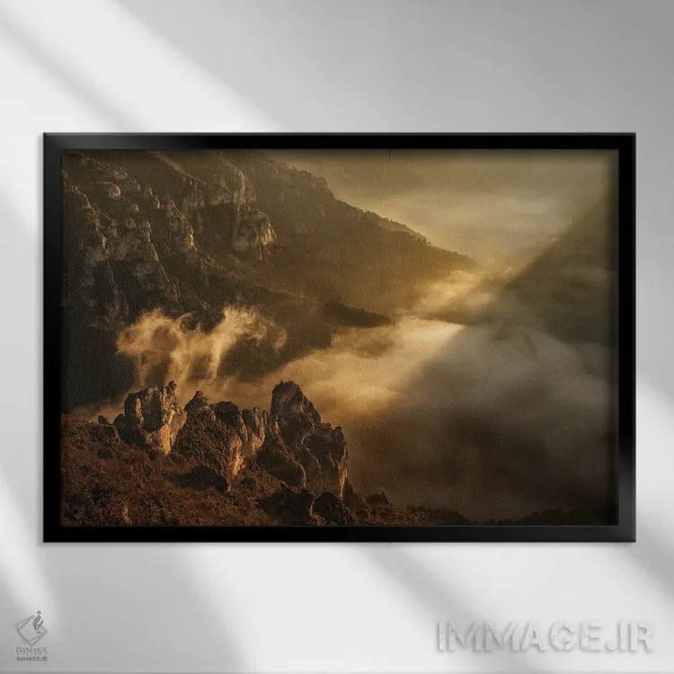 تابلو ققنوس یا پرنده آتشین اثر آنابل شابر - نمای قابدار مشکی