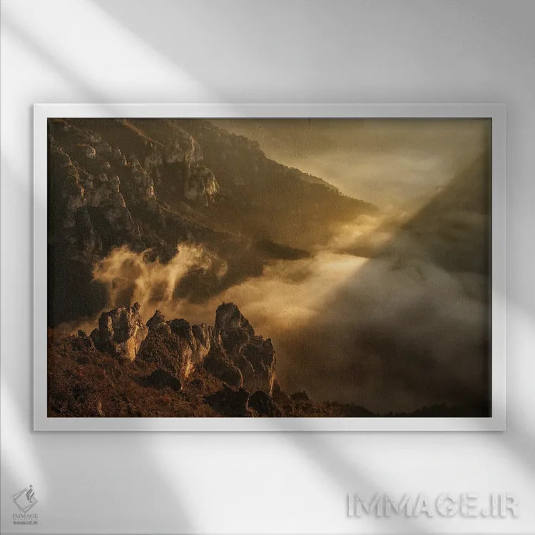 تابلو ققنوس یا پرنده آتشین اثر آنابل شابر - نمای قابدار سفید