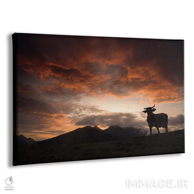 تابلو سایه گاو در غروب اثر آنابل شابر - نمای پرسپکتیو محصول