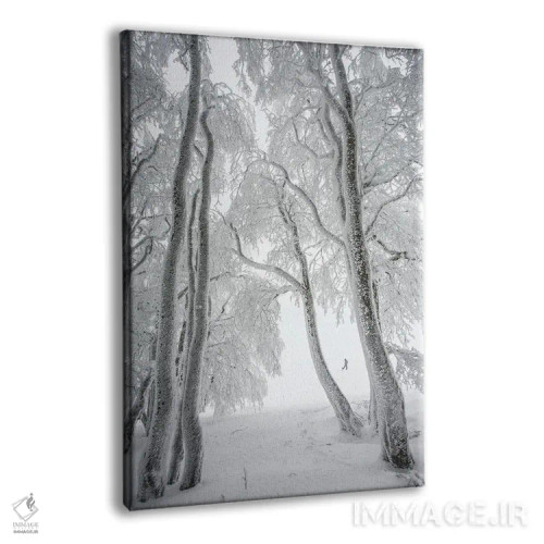 تابلو جنگل مهآلود در زمستان اثر آنابل شابر - نمای پرسپکتیو محصول