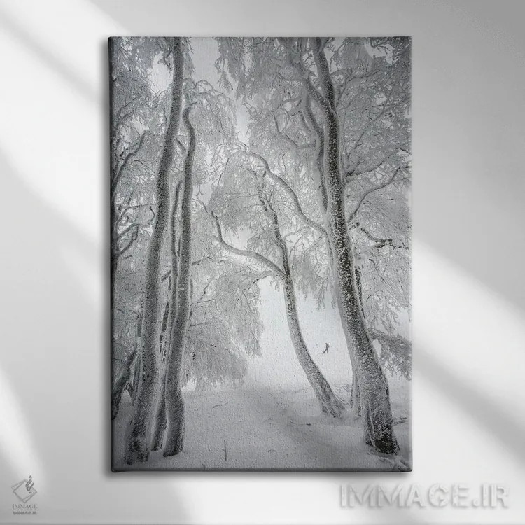 تابلو جنگل مهآلود در زمستان اثر آنابل شابر - نمای روبهرو روی دیوار