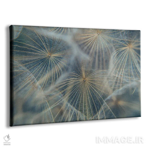 تابلو جزئیات چتری گیاهی II اثر آنابل شابر - نمای پرسپکتیو محصول