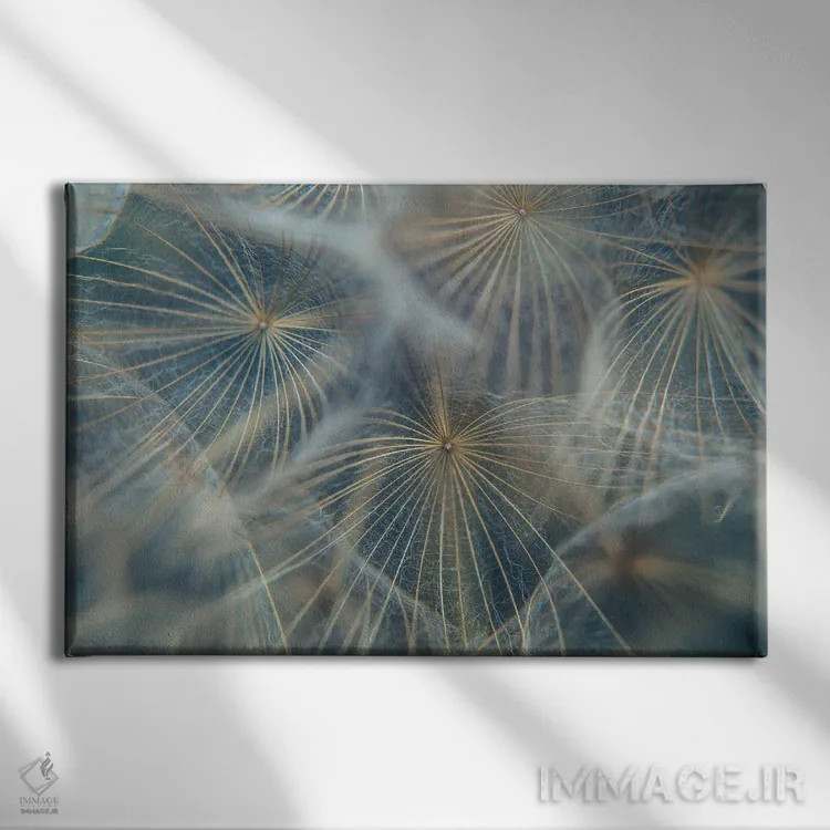 تابلو جزئیات چتری گیاهی II اثر آنابل شابر - نمای روبهرو روی دیوار