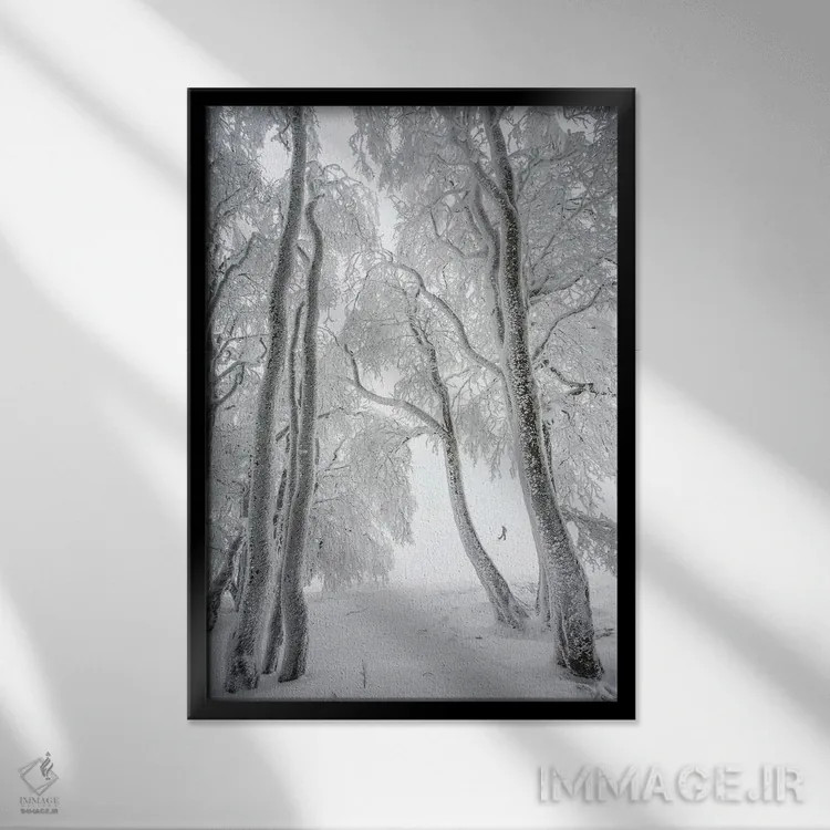 تابلو جنگل مهآلود در زمستان اثر آنابل شابر - نمای قابدار مشکی