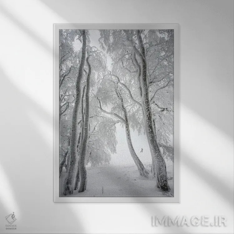 تابلو جنگل مهآلود در زمستان اثر آنابل شابر - نمای قابدار سفید