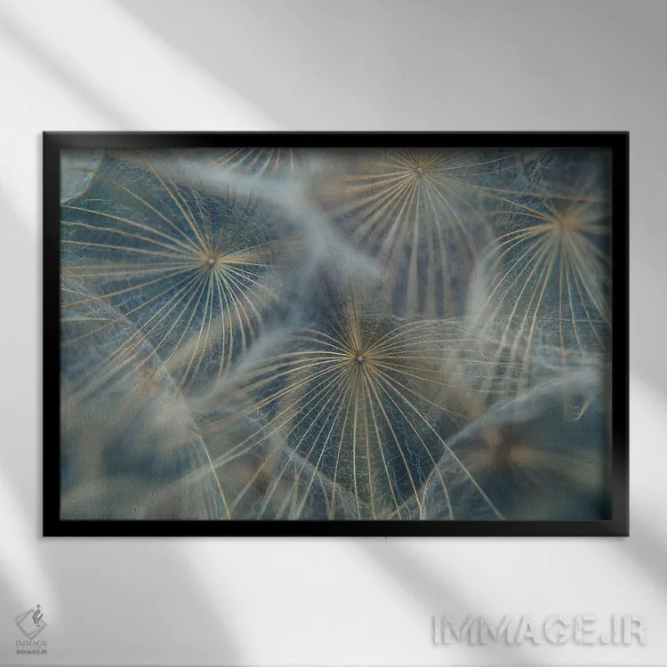 تابلو جزئیات چتری گیاهی II اثر آنابل شابر - نمای قابدار مشکی