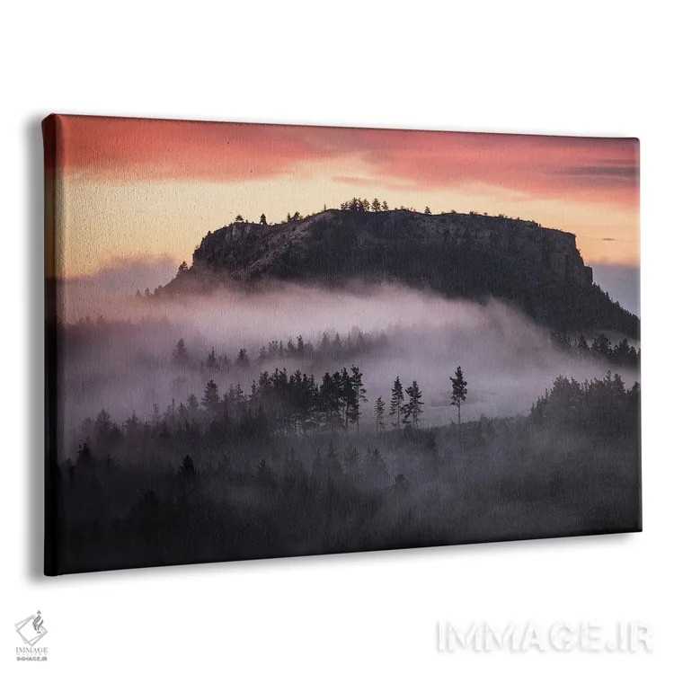 تابلو مه در دل جنگل تاریک اثر آنابل شابر - نمای پرسپکتیو محصول