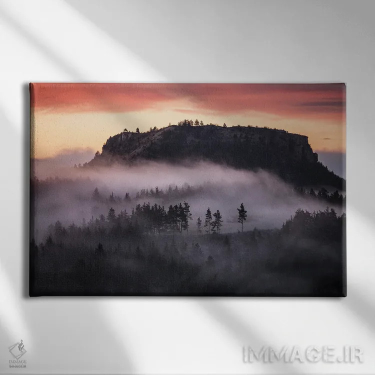 تابلو مه در دل جنگل تاریک اثر آنابل شابر - نمای روبهرو روی دیوار