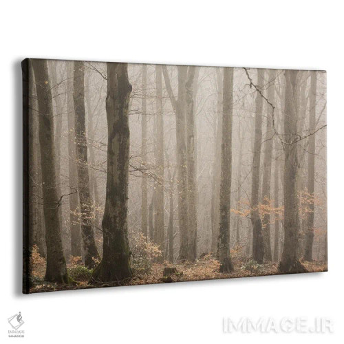 تابلو جنگلهای رمزآلود اثر آنابل شابر - نمای پرسپکتیو محصول