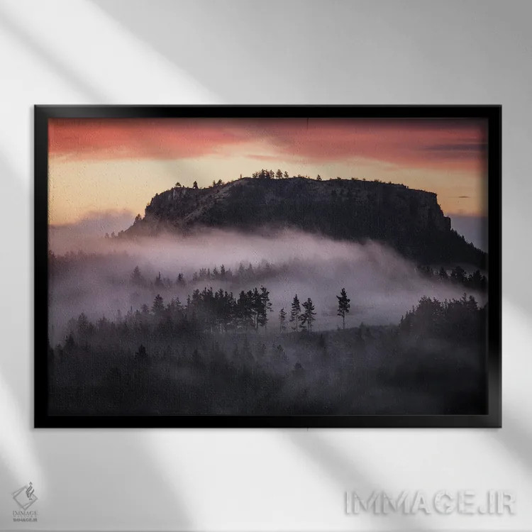تابلو مه در دل جنگل تاریک اثر آنابل شابر - نمای قابدار مشکی