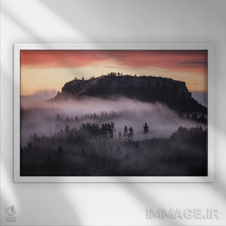 تابلو مه در دل جنگل تاریک اثر آنابل شابر - نمای قابدار سفید