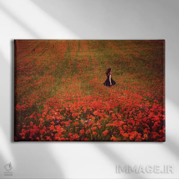 تابلو مزرعه شقایق و زن با لباس سیاه اثر آنابل شابر - نمای روبهرو روی دیوار