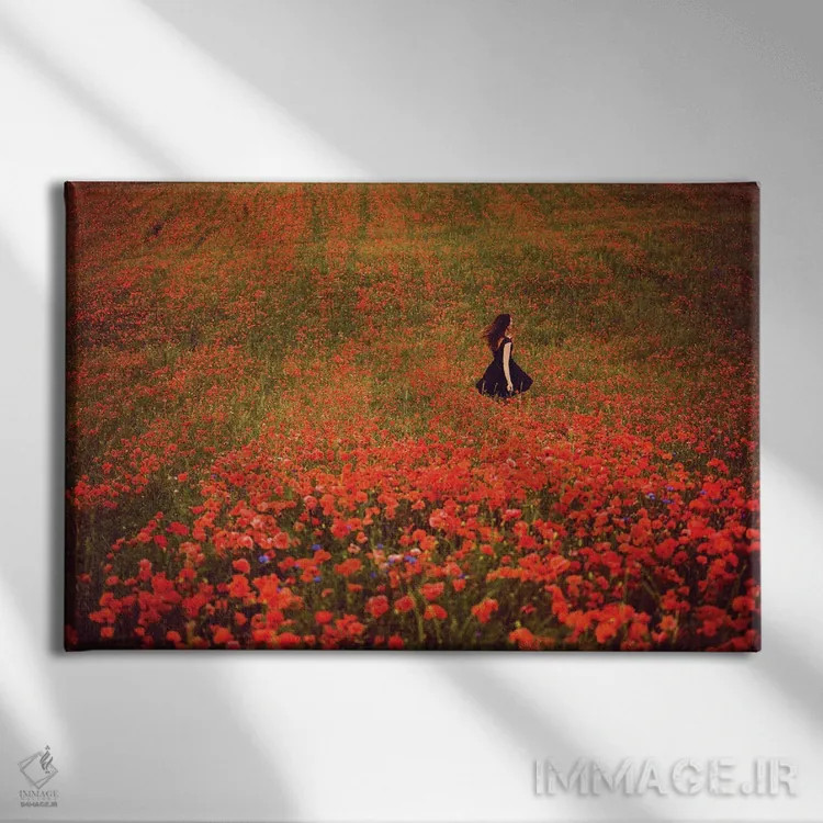 تابلو مزرعه شقایق و زن با لباس سیاه اثر آنابل شابر - نمای روبهرو روی دیوار