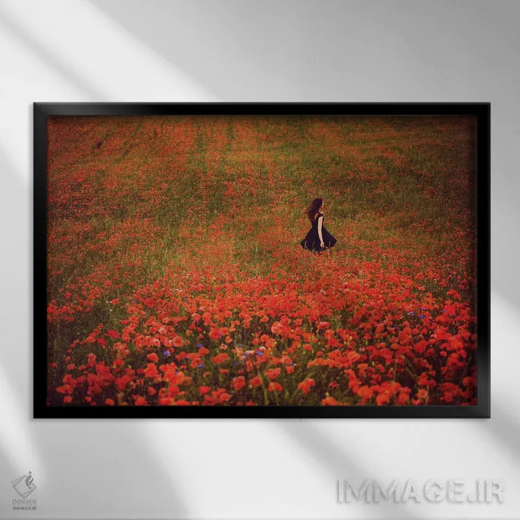 تابلو مزرعه شقایق و زن با لباس سیاه اثر آنابل شابر - نمای قابدار مشکی