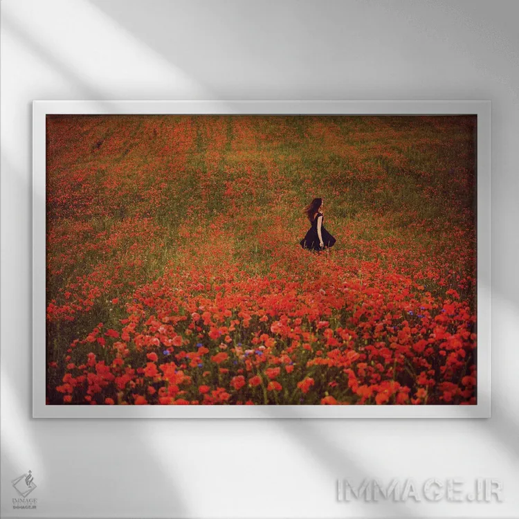 تابلو مزرعه شقایق و زن با لباس سیاه اثر آنابل شابر - نمای قابدار سفید