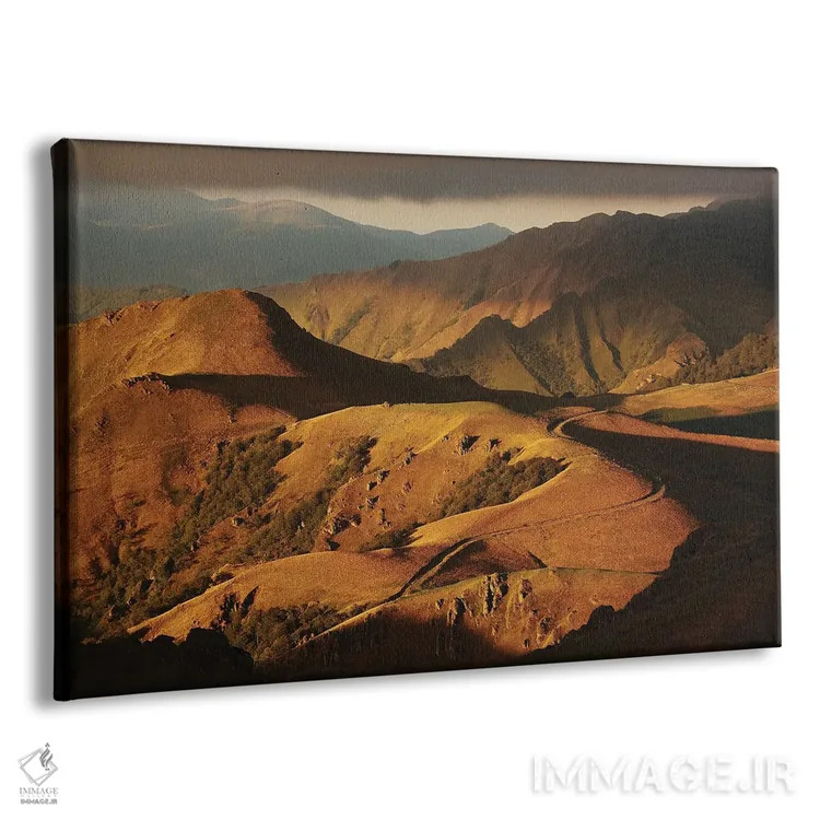 تابلو طبیعت وحشی و رنگهای طلایی اثر آنابل شابر - نمای پرسپکتیو محصول