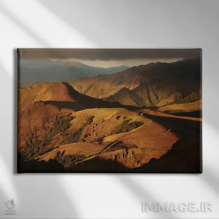تابلو طبیعت وحشی و رنگهای طلایی اثر آنابل شابر - نمای روبهرو روی دیوار