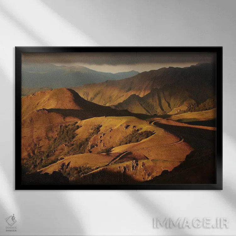 تابلو طبیعت وحشی و رنگهای طلایی اثر آنابل شابر - نمای قابدار مشکی