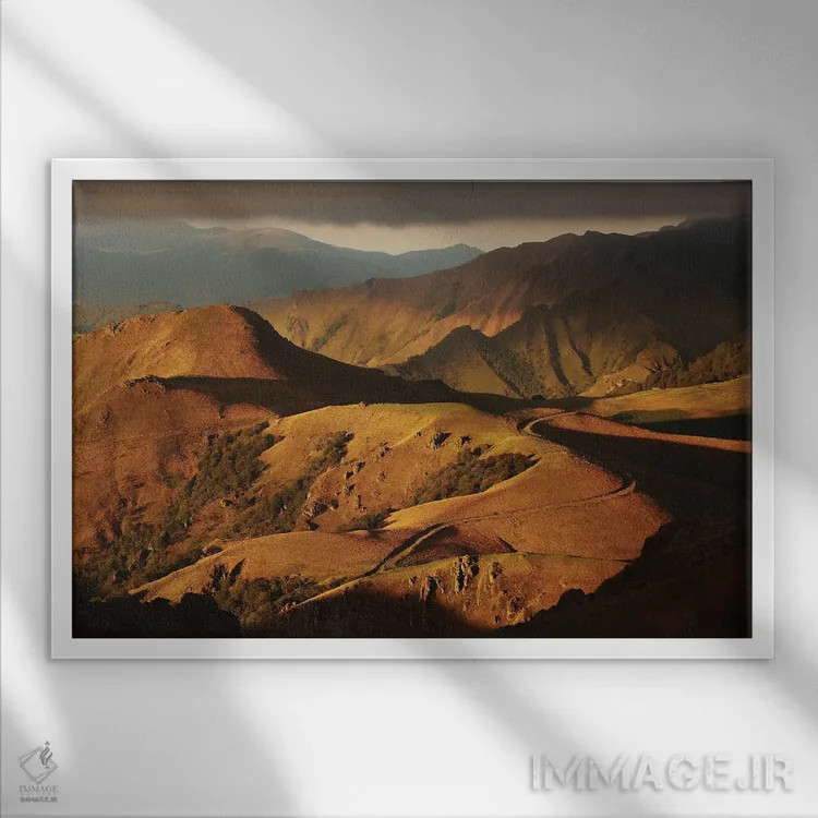 تابلو طبیعت وحشی و رنگهای طلایی اثر آنابل شابر - نمای قابدار سفید