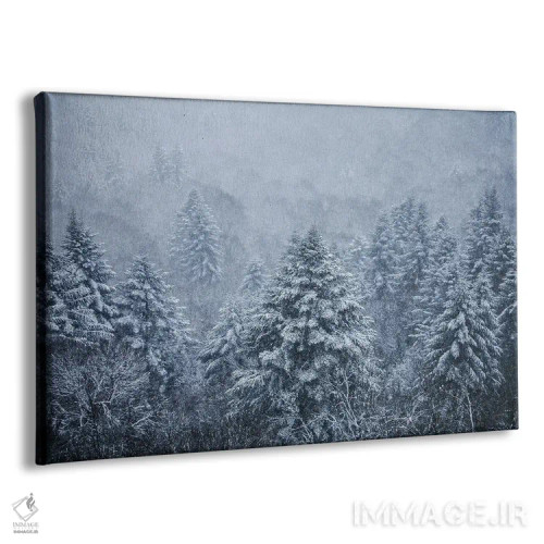 تابلو درختان شبحگونه زیر دانههای برف اثر آنابل شابر - نمای پرسپکتیو محصول