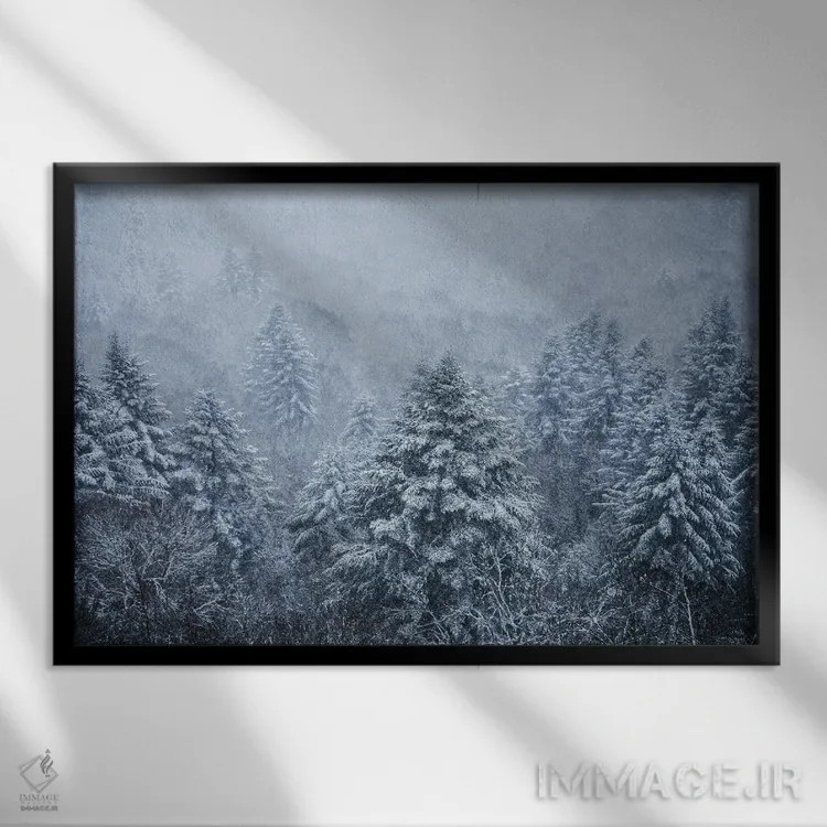 تابلو درختان شبحگونه زیر دانههای برف اثر آنابل شابر - نمای قابدار مشکی