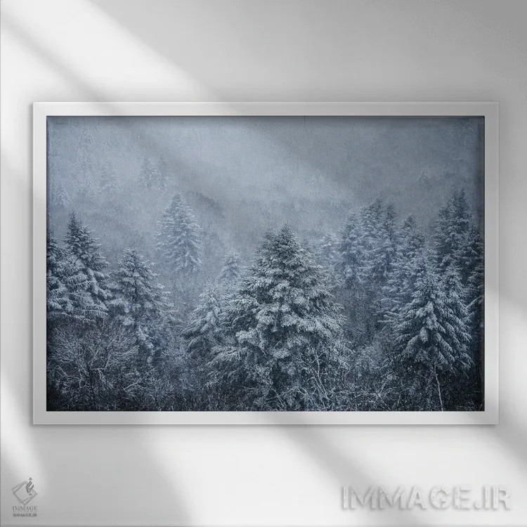 تابلو درختان شبحگونه زیر دانههای برف اثر آنابل شابر - نمای قابدار سفید