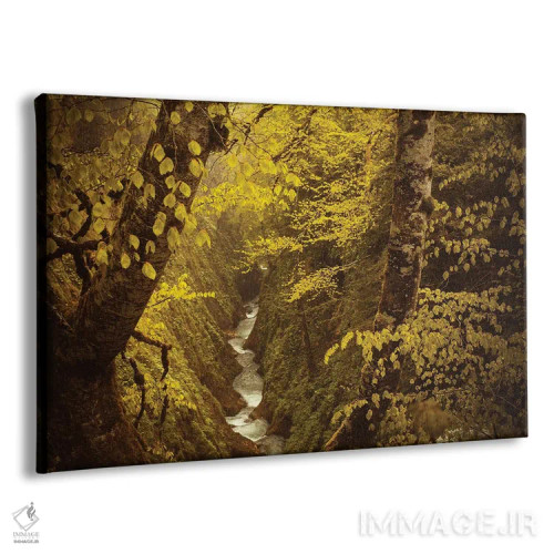 تابلو دره سبز پنهان اثر آنابل شابر - نمای پرسپکتیو محصول