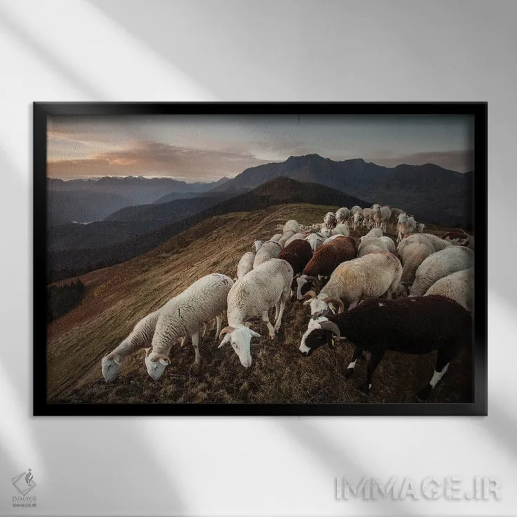 تابلو انت (موجود افسانهای شبیه درخت) اثر آنابل شابر - نمای قابدار مشکی