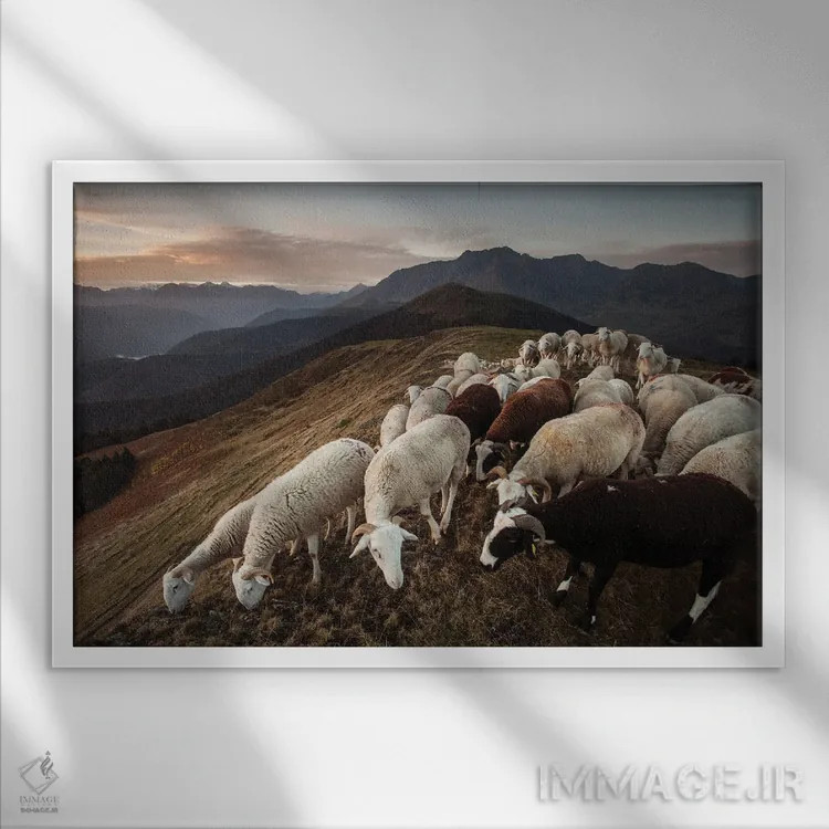 تابلو انت (موجود افسانهای شبیه درخت) اثر آنابل شابر - نمای قابدار سفید