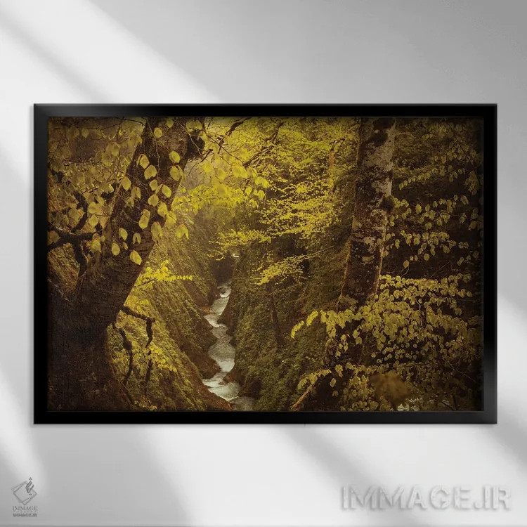 تابلو دره سبز پنهان اثر آنابل شابر - نمای قابدار مشکی