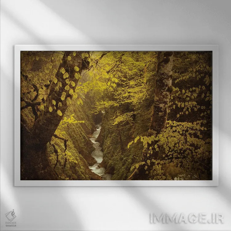 تابلو دره سبز پنهان اثر آنابل شابر - نمای قابدار سفید