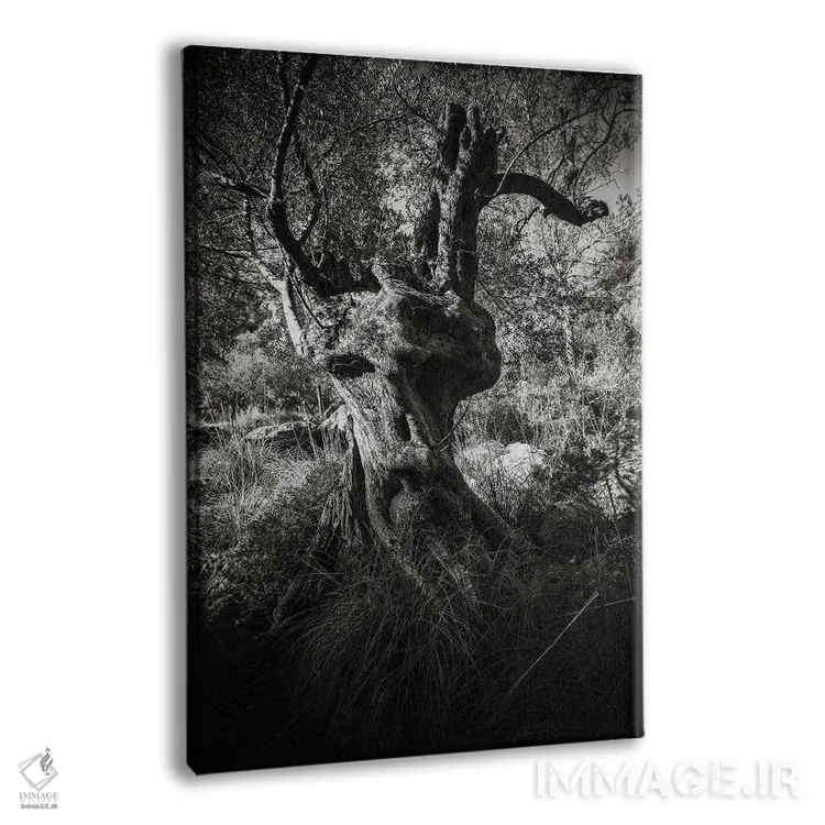 تابلو انت (موجود افسانهای) اثر آنابل شابر - نمای پرسپکتیو محصول