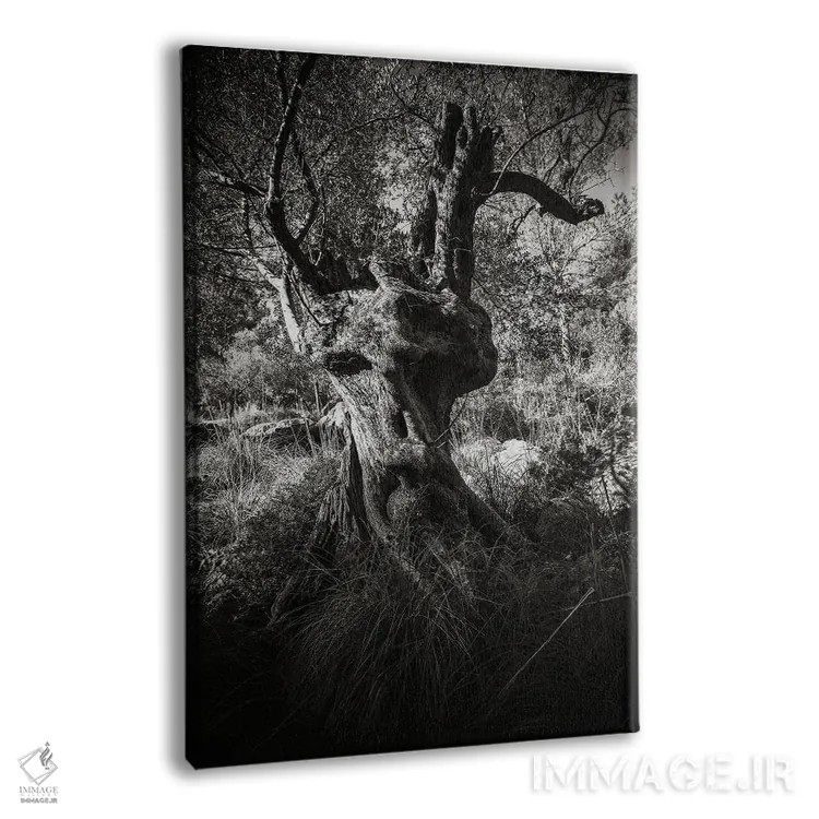 تابلو انت (موجود افسانهای) اثر آنابل شابر - نمای پرسپکتیو محصول