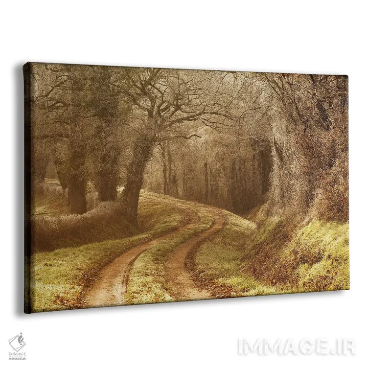 تابلو مسیر یخزده اثر آنابل شابر - نمای پرسپکتیو محصول